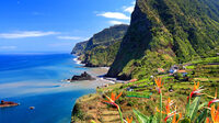 madeira_-_hoofdfoto_1-800x450